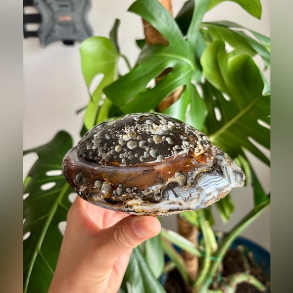 Agate Geode from Brazil - Picture 3 of 5